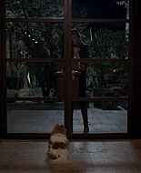 bellathornedaily0029.jpg