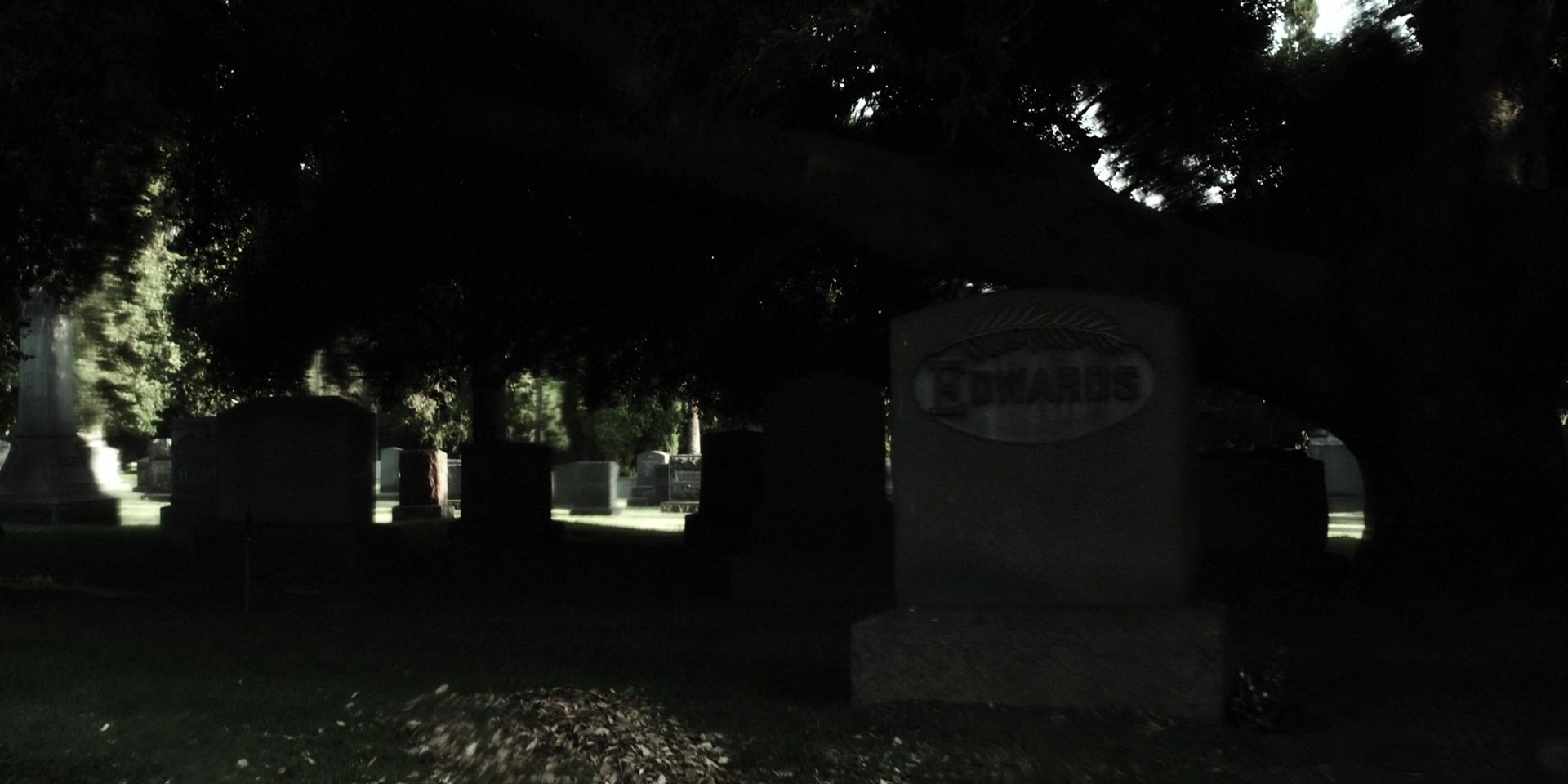Forget_Me_Not_2009_1080p_BTD_002788.jpg Forget_Me_Not_2009_1080p_BTD_002788.jpg