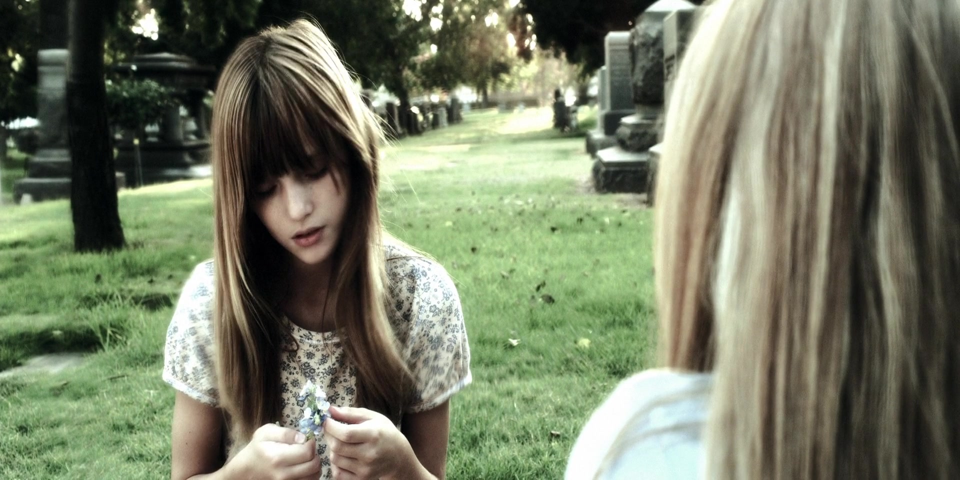 Forget_Me_Not_2009_1080p_BTD_002994.jpg Forget_Me_Not_2009_1080p_BTD_002994.jpg
