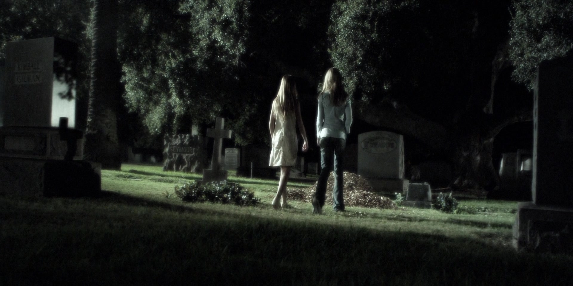 Forget_Me_Not_2009_1080p_BTD_012481.jpg