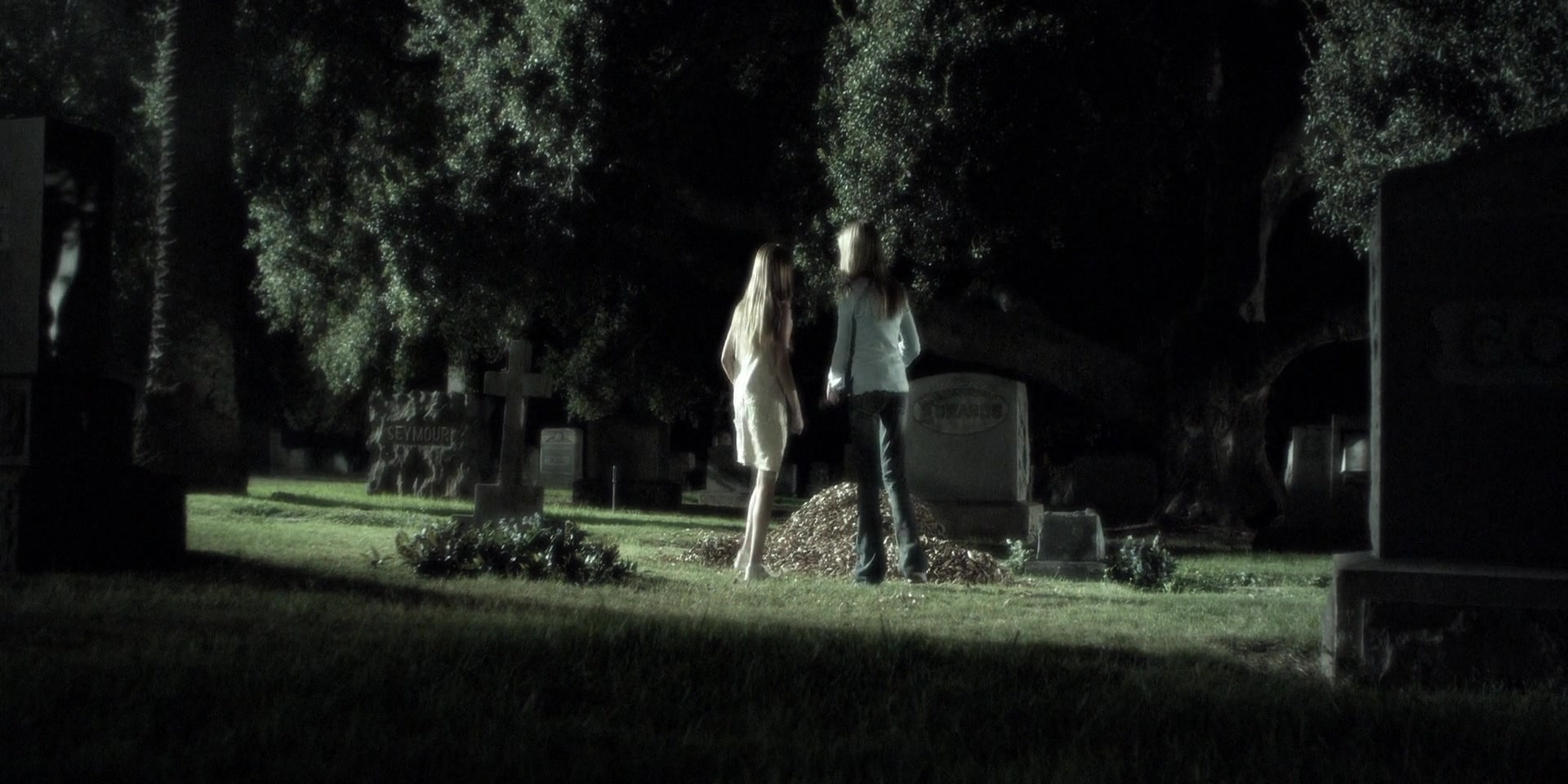 Forget_Me_Not_2009_1080p_BTD_012483.jpg