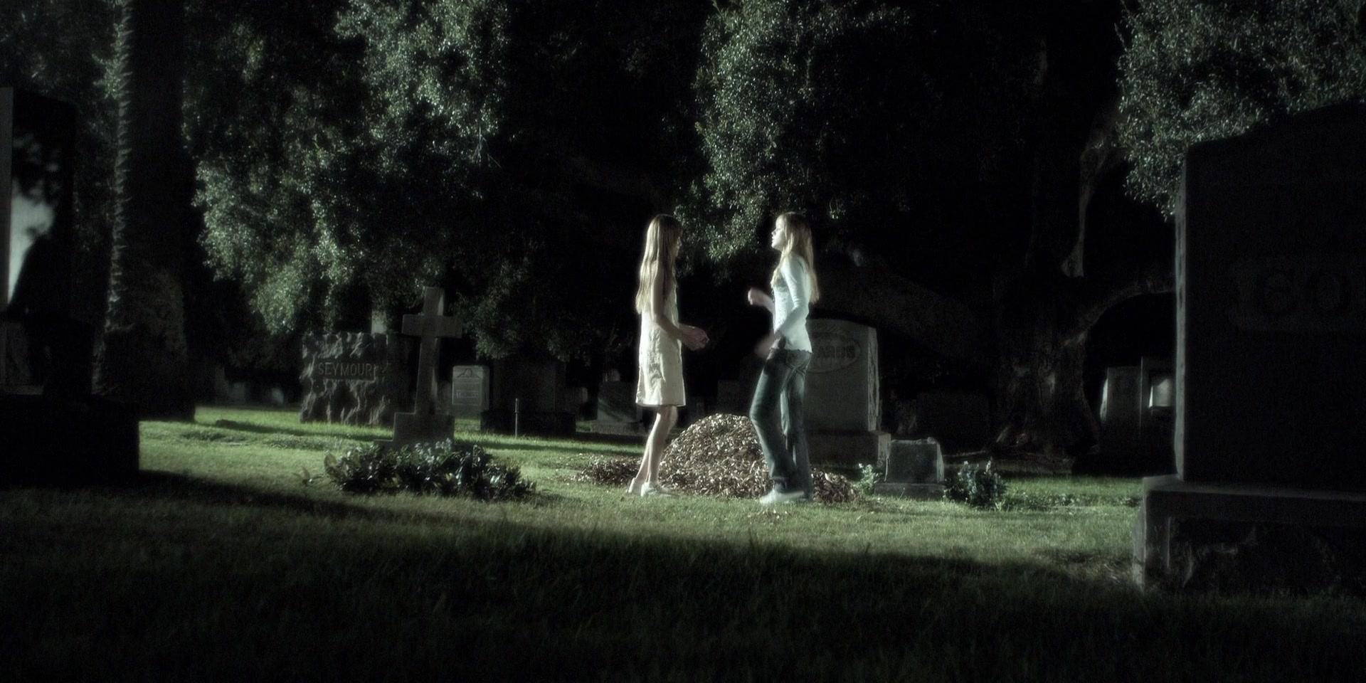 Forget_Me_Not_2009_1080p_BTD_012485.jpg Forget_Me_Not_2009_1080p_BTD_012485.jpg