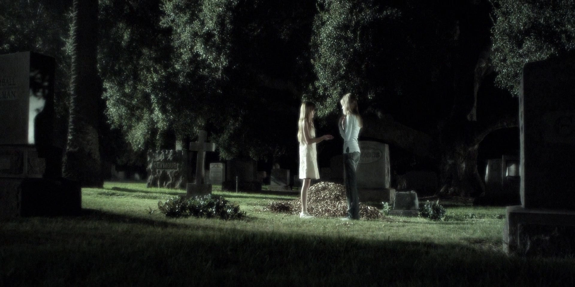 Forget_Me_Not_2009_1080p_BTD_012489.jpg