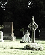 Forget_Me_Not_2009_1080p_BTD_002741.jpg