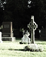 Forget_Me_Not_2009_1080p_BTD_002742.jpg