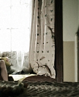 Forget_Me_Not_2009_1080p_BTD_005194.jpg