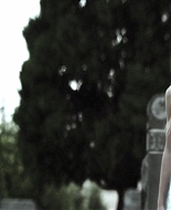 Forget_Me_Not_2009_1080p_BTD_005290.jpg