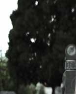 Forget_Me_Not_2009_1080p_BTD_005291.jpg