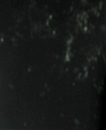 Forget_Me_Not_2009_1080p_BTD_012558.jpg