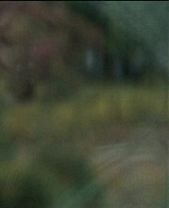 Girl_2020_1080p_BTD_000315.jpg