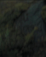 Girl_2020_1080p_BTD_001880.jpg