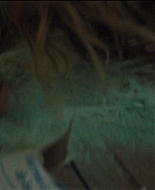 Girl_2020_1080p_BTD_004490.jpg