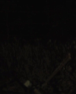Girl_2020_1080p_BTD_009115.jpg