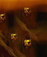 Paradise_City_2021_S01E08_1080p_BTD_003645.jpg