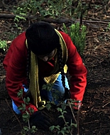 Raspberry_Magic_2010_1080p_BTD_004514.jpg