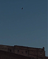 Time_Is_Up_2021_1080p_BTD_007563.jpg