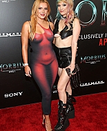 bellathornedaily_283929~0.jpg
